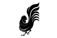 3139d8ab0d1f7787229088418a63acd3